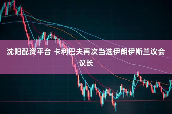 沈阳配资平台 卡利巴夫再次当选伊朗伊斯兰议会议长