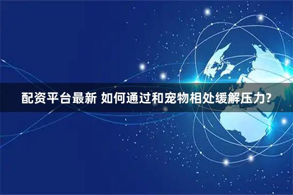 配资平台最新 如何通过和宠物相处缓解压力?